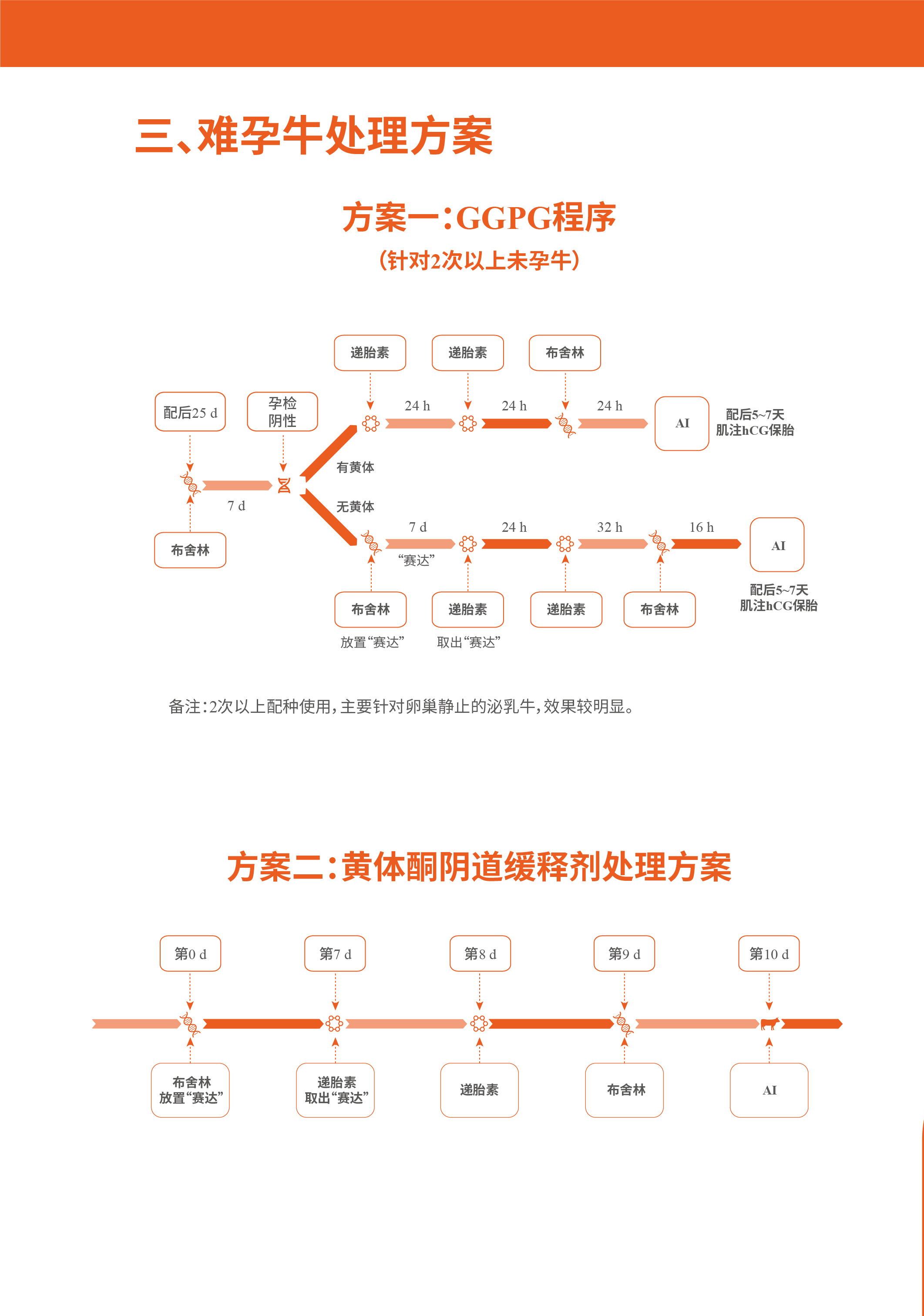 picture-6.jpg